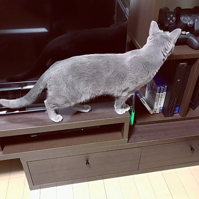 snoopyさんの部屋