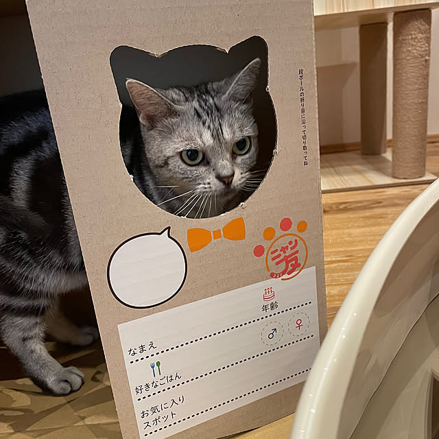 Aさんの部屋