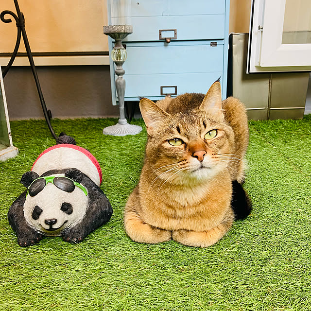jill_lowさんの実例写真