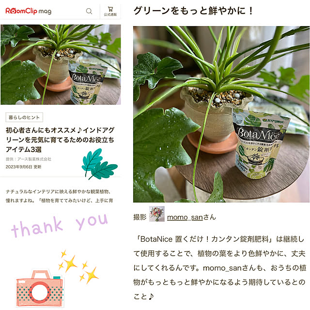 momo_sanさんの実例写真