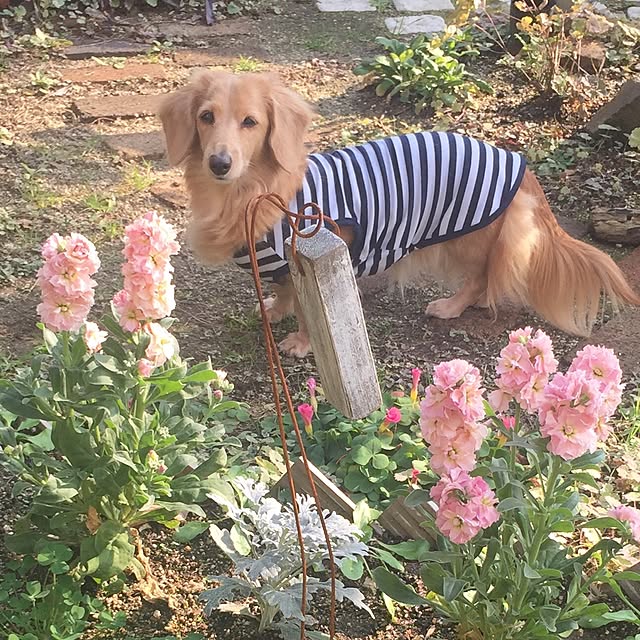 bibianさんの実例写真