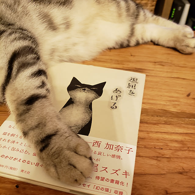 hajiroさんの実例写真