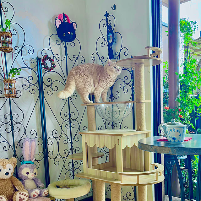 naokoさんの部屋