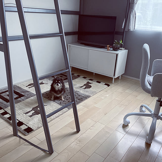 Mikiさんの実例写真