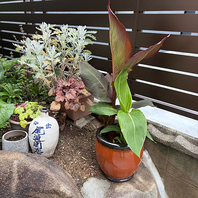 buchiさんの部屋