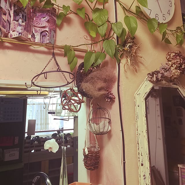 kimishigureさんの実例写真