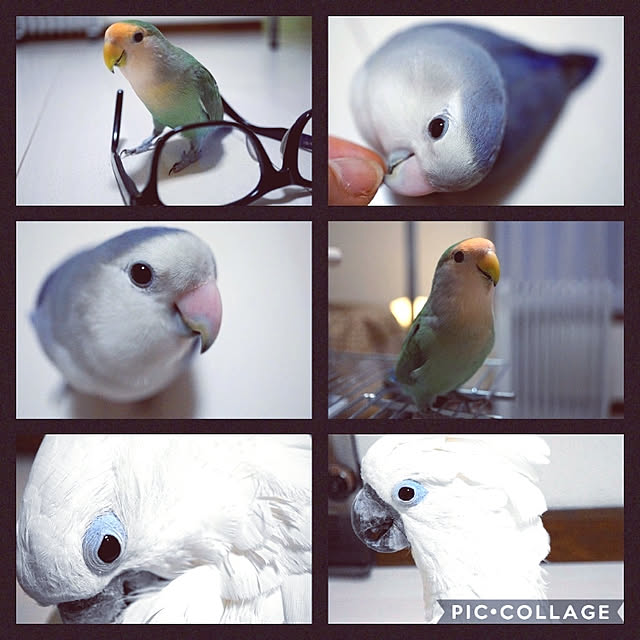 aromameさんの実例写真