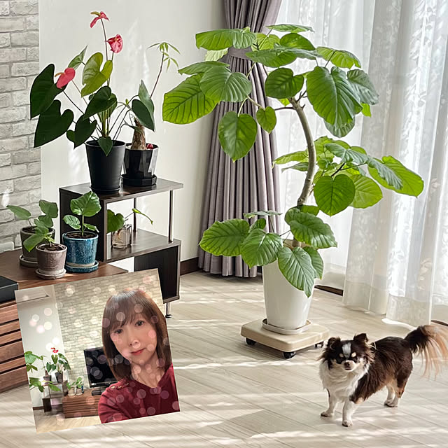 Hannahさんの実例写真