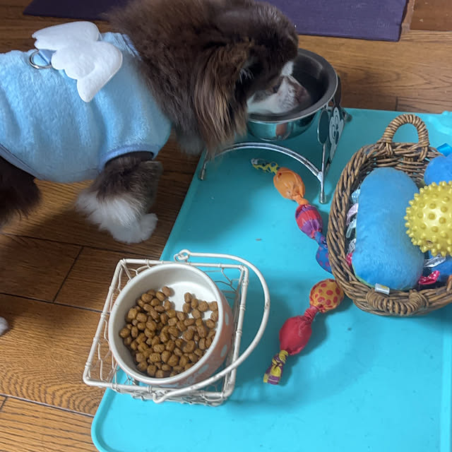 chIoeさんの部屋