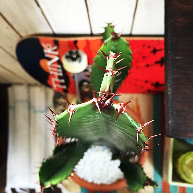 t.w.cさんの実例写真
