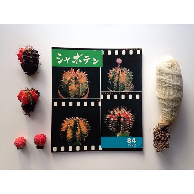 Atsushiさんの実例写真