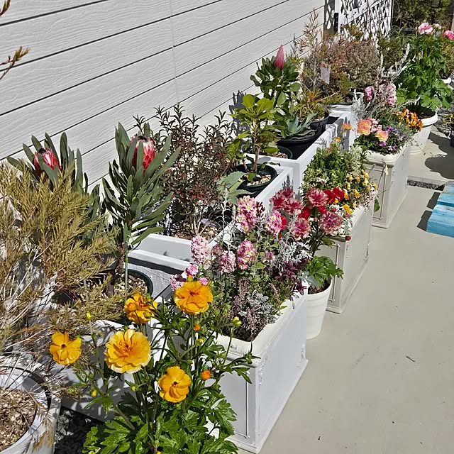 nonbiri_house_さんの部屋