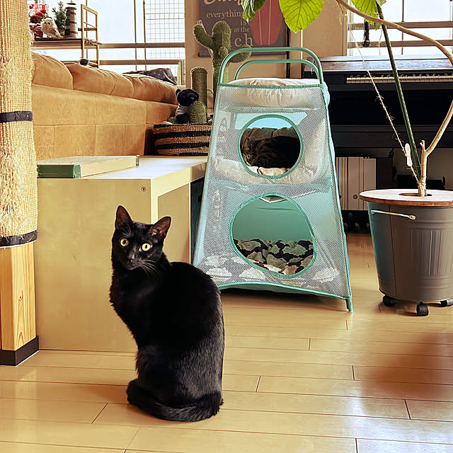 suemonta14さんの実例写真