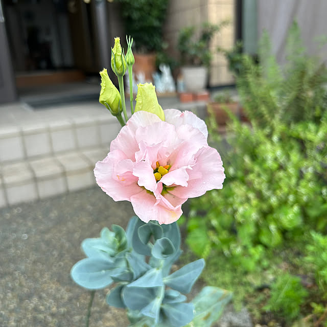 ritsukoさんの部屋