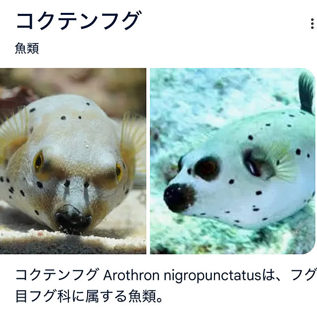 ohanaさんの実例写真