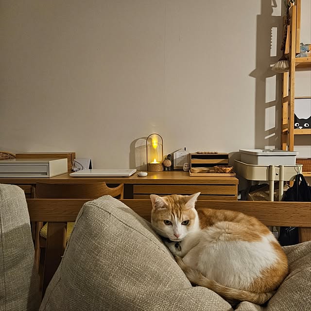 koyurizuさんの実例写真