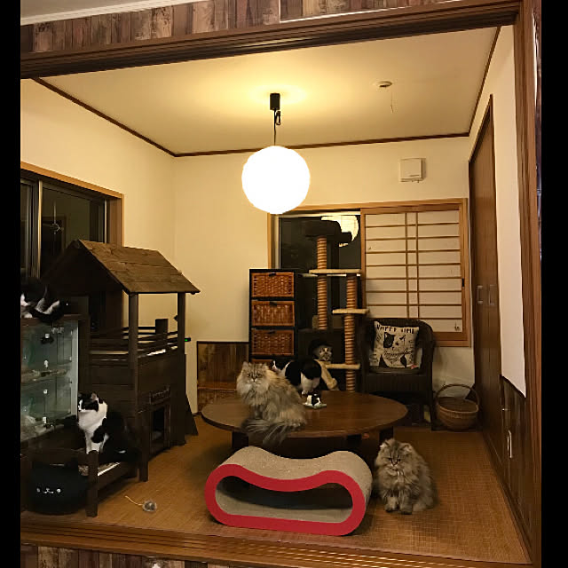 butachanさんの実例写真