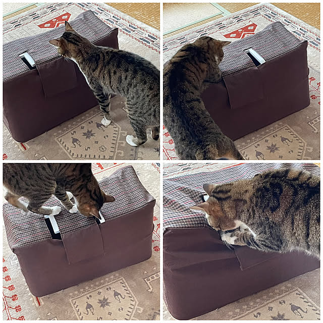 nobikoさんの部屋
