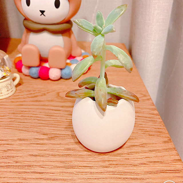 観葉植物/アフタヌーンティー雑貨/一人暮らし/カフェ風/北欧...などのインテリア実例 - 2020-05-28 22:40:06