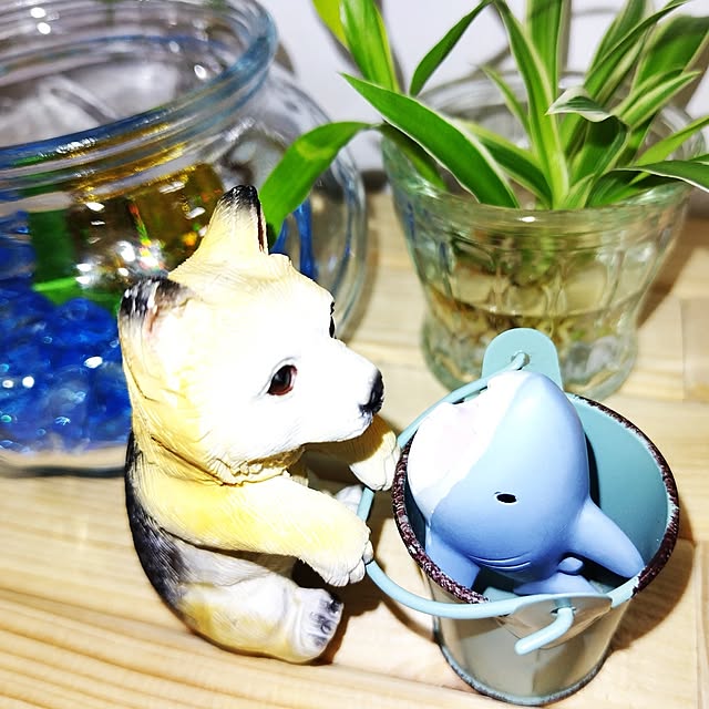 katさんの部屋