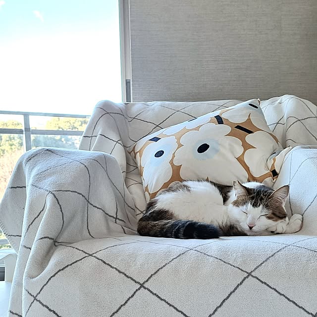 pandaさんの実例写真