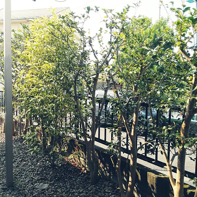 MiRiderさんの実例写真