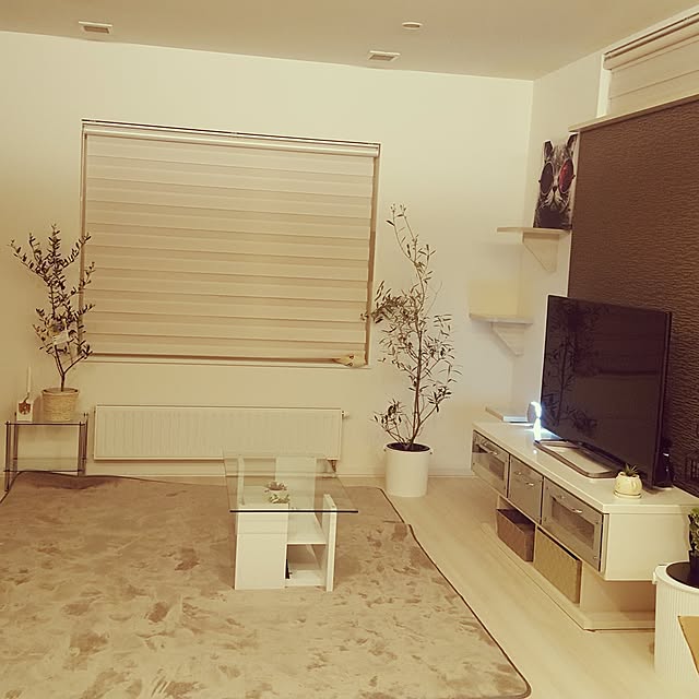 megu.catさんの実例写真