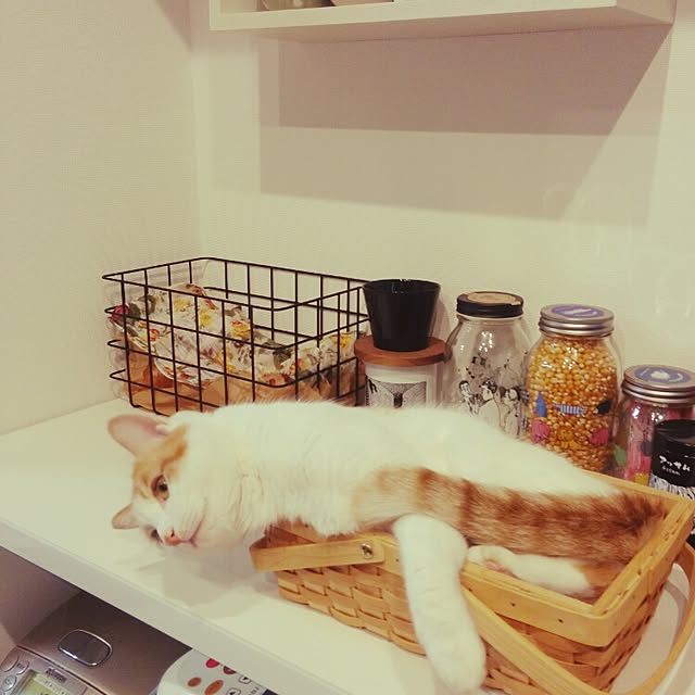3110さんの実例写真