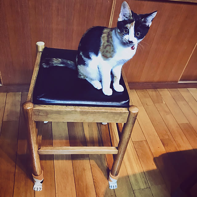 maroさんの実例写真