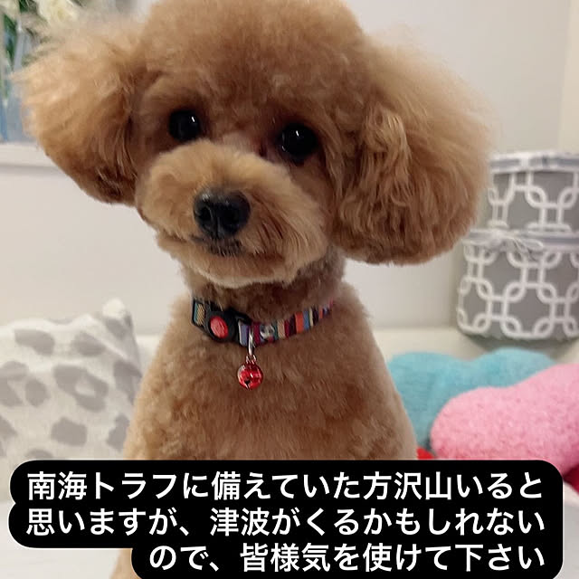 makiさんの実例写真