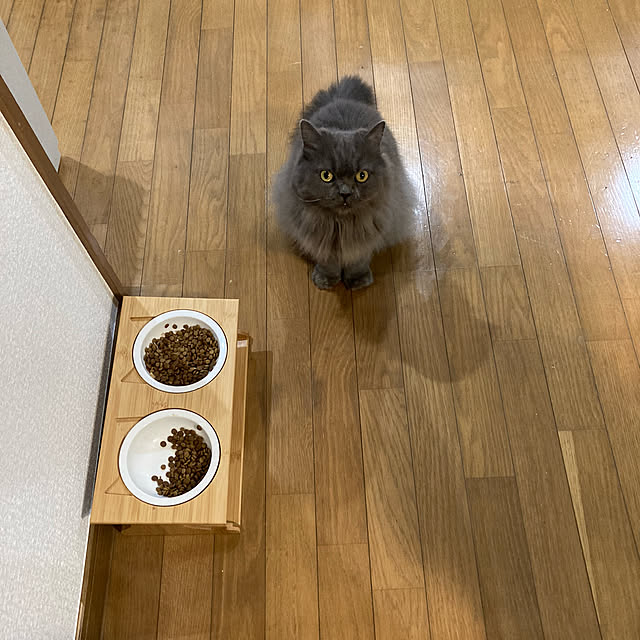 mimosaさんの実例写真