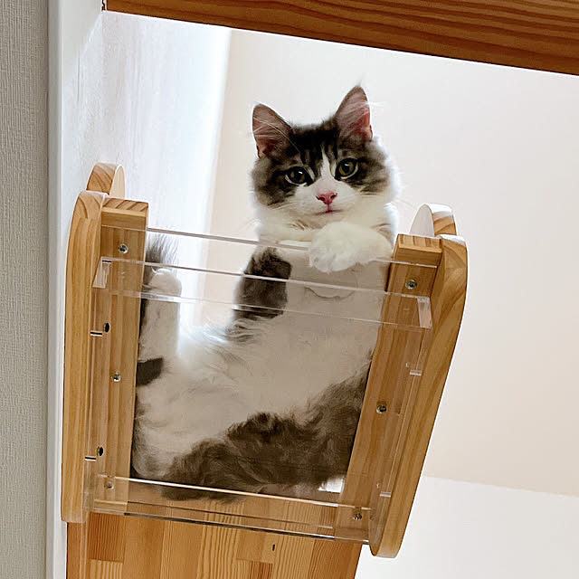 nukooさんの部屋
