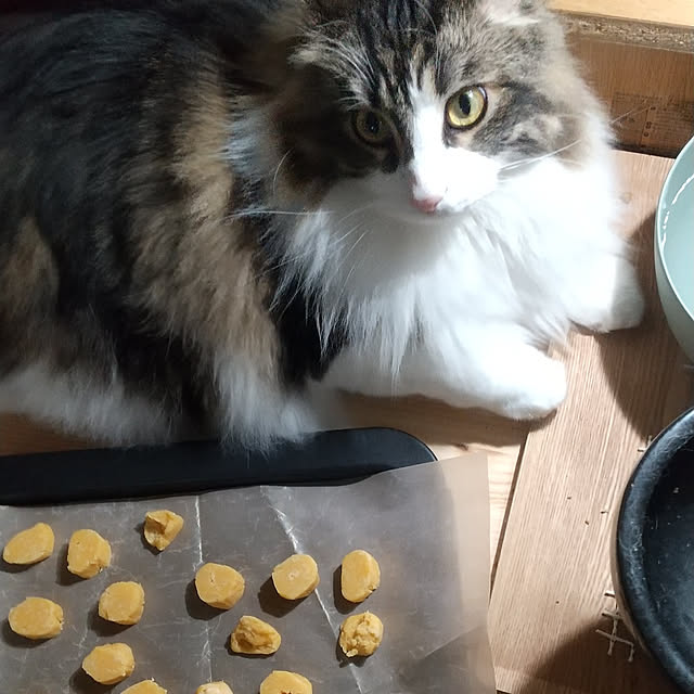 Yさんの実例写真