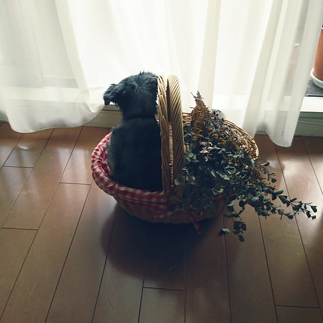 satominさんの実例写真