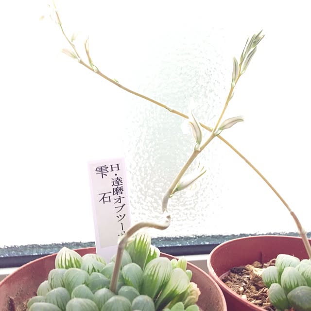 may-Uさんの実例写真