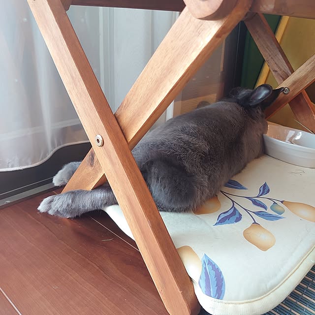 kirariさんの部屋