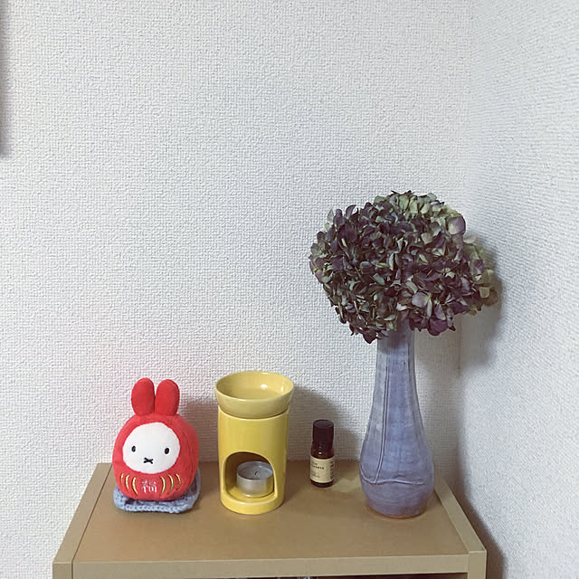 Maikoさんの実例写真