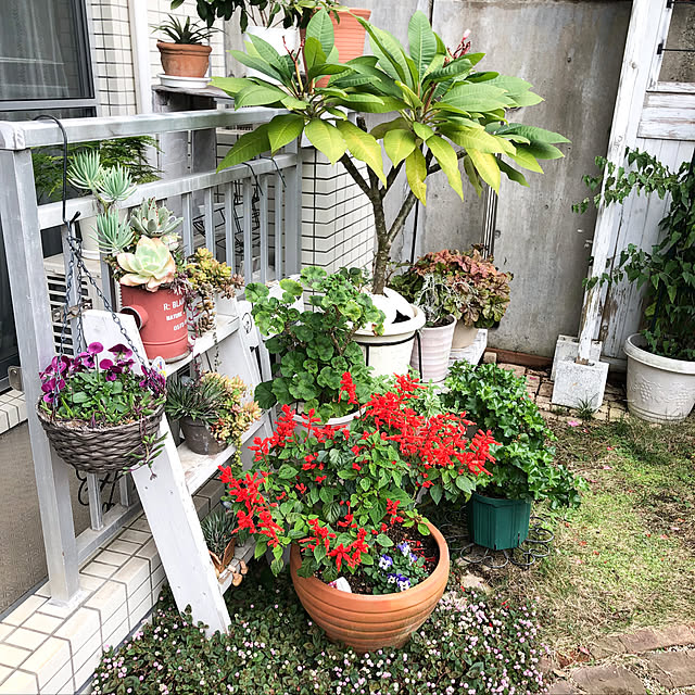 dodoさんの実例写真