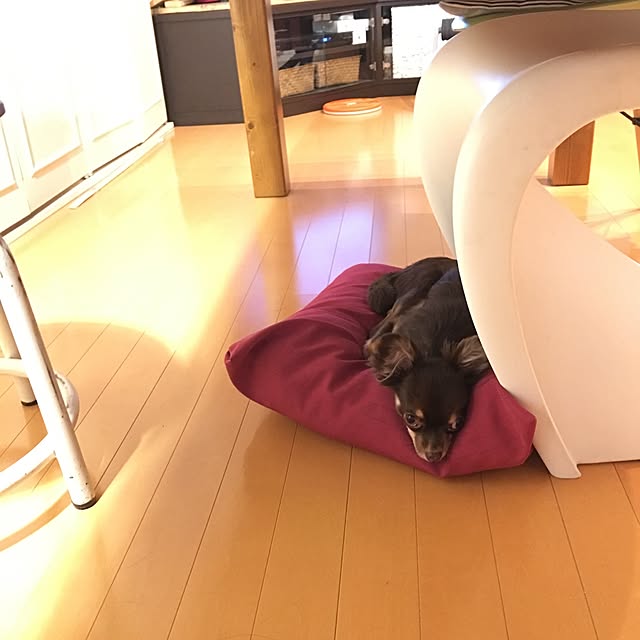 takaさんの実例写真