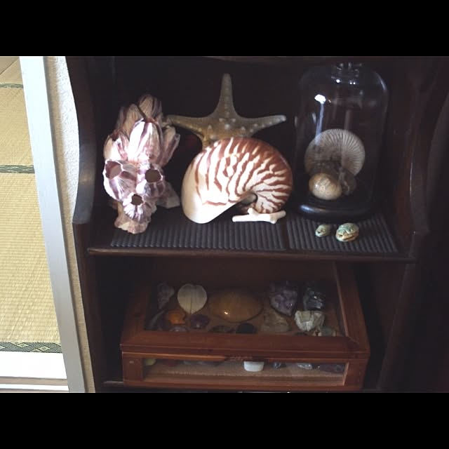 leniwonoiseさんの実例写真