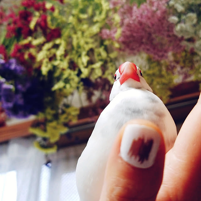 haruさんの実例写真