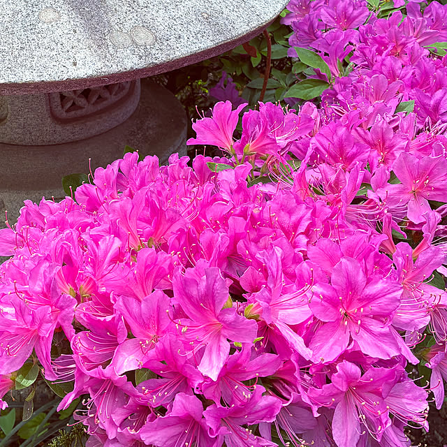 mary_loveさんの部屋