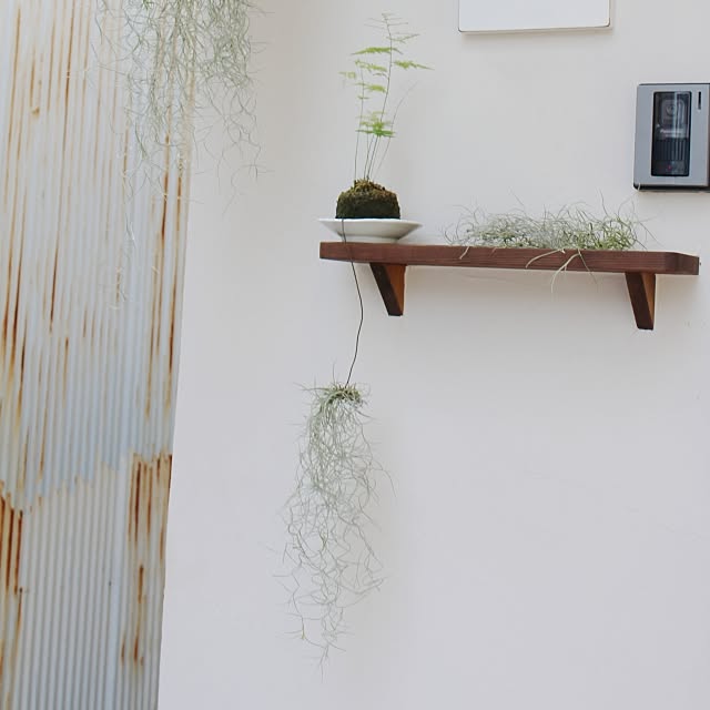 wisteriaさんの実例写真