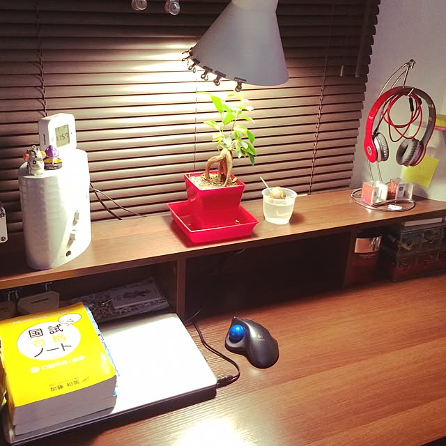 Taroyさんの実例写真