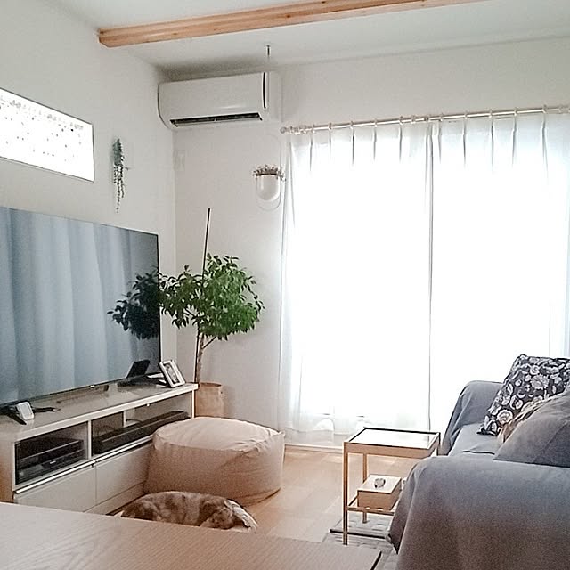 tmmh2023さんの部屋