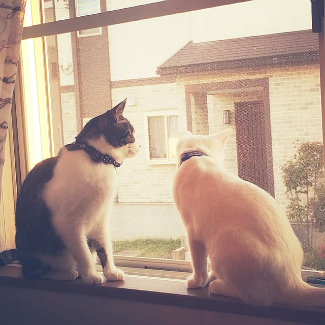 Rettiさんの実例写真