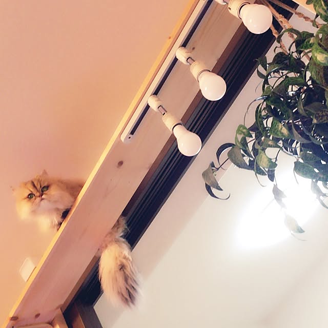 sweetchocochanさんの実例写真