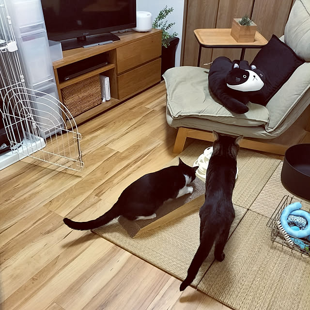 hihaさんの実例写真