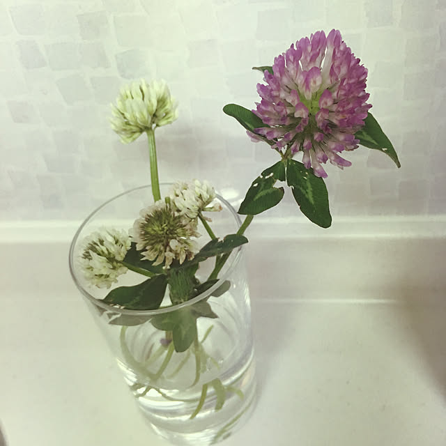 raindropさんの実例写真