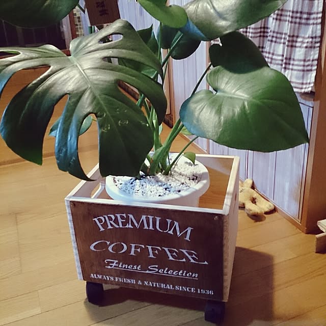 miporin0711さんの実例写真